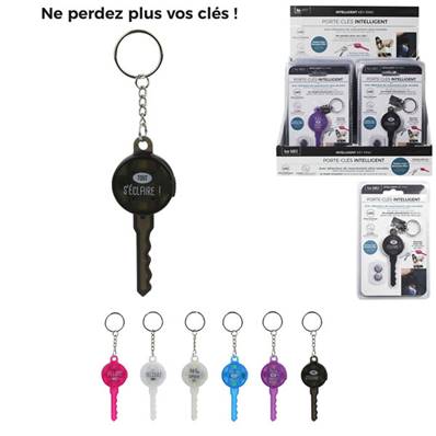 Porte Clefs Inteliigent