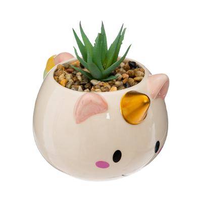 Pot Licorne + Plante 