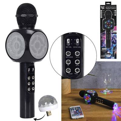 Micro Karaoke Led et Lampe Disco