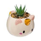 Pot Licorne + Plante 