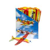 Bte 48 Avions Styro 20 cm 12 ass