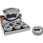 Pate Magnetic Fun