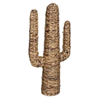 Cactus GM Hacienda 