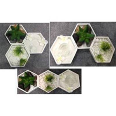 Jardin Zen Hexagones