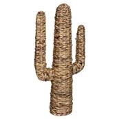 Cactus GM Hacienda 