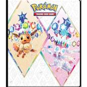 Album 80 Cartes Pokemon
