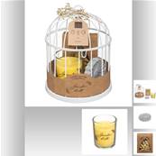 Coffret Cage Lola Citronnelle 