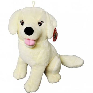 Labrador Assis 33 Cm