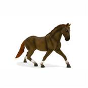 Etalon Hanovrien Marron Course