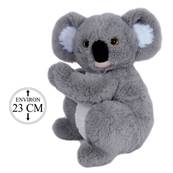 Koala Assis 23 Cm