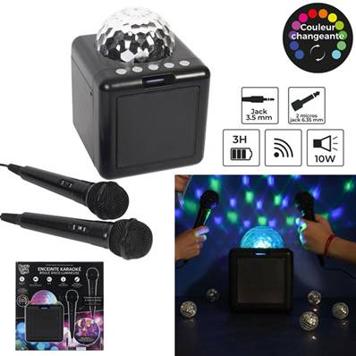 Enceinte Karaoke Boule Disco Micro 2x 10W