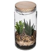 Terrarium Couv Bois D11X22