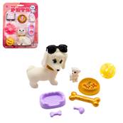 Blister Chien ou Chat avec Accessoires