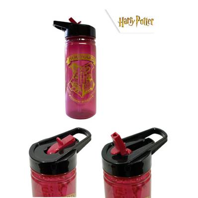 Bouteille 600 ML Harry Potter Bordeaux 