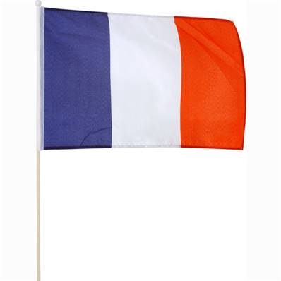 Drapeau France 30 x 46 Cm Stick de 60