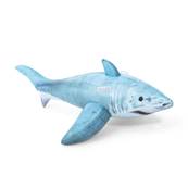 Bte Requin Chevauchable 183x102