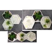 Jardin Zen Hexagones