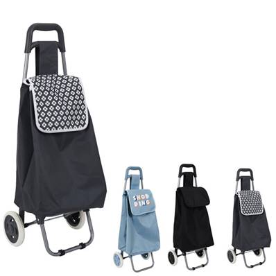 Chariot Shopping 2 Roues
